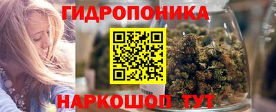 хмурый Малоярославец