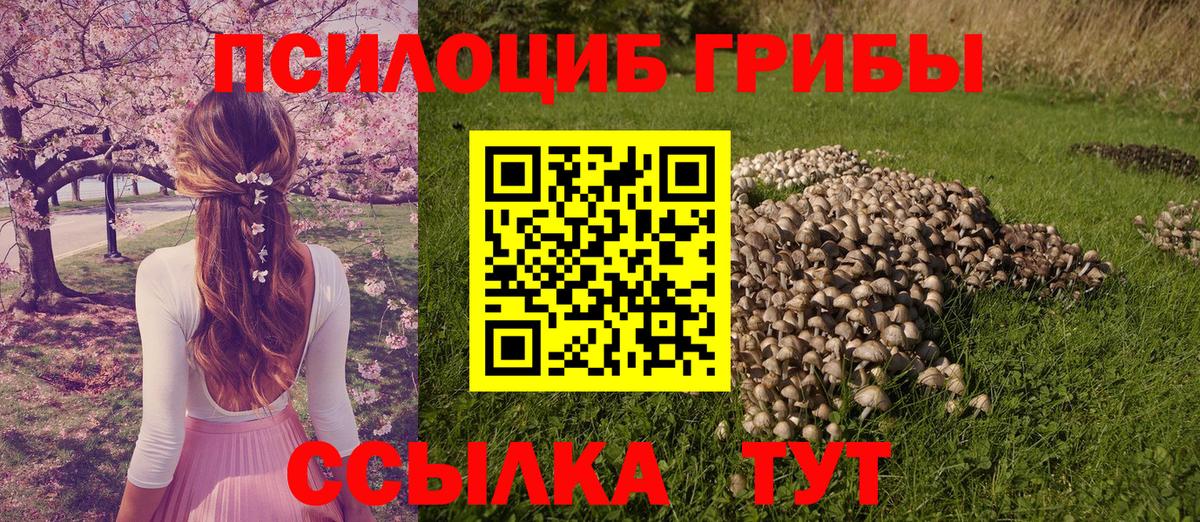 Галлюциногенные грибы мицелий Первоуральск